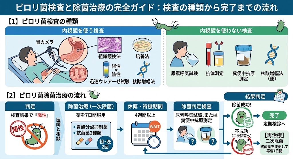 ピロリ菌検査は何をするの?除菌治療までの流れとは