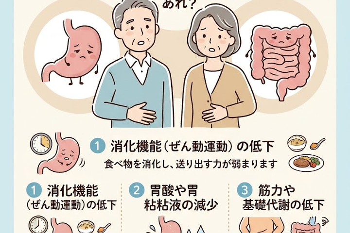 胃腸の不調、年齢とともに増えるのはなぜ？